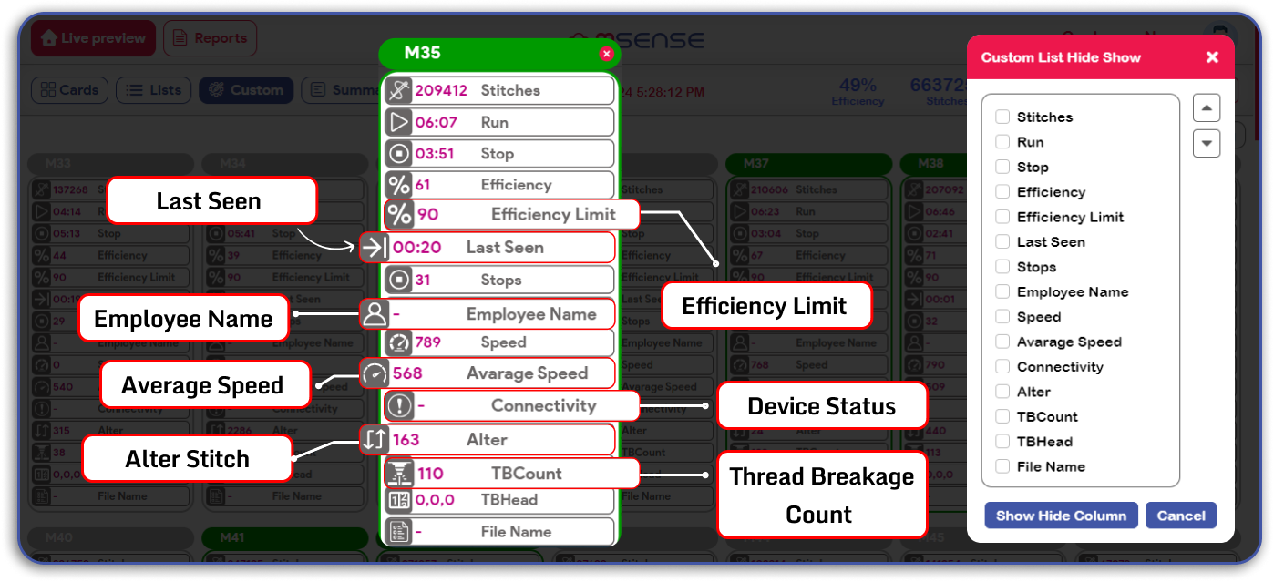 Custom Setting